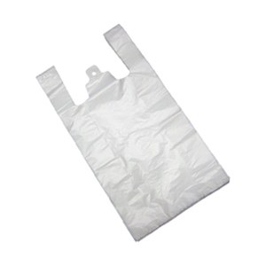PE Laminated Bag